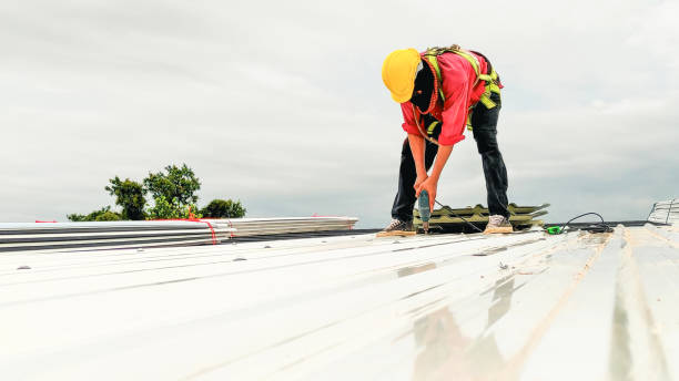 Best 4 Ply Roofing  in Parma, ID
