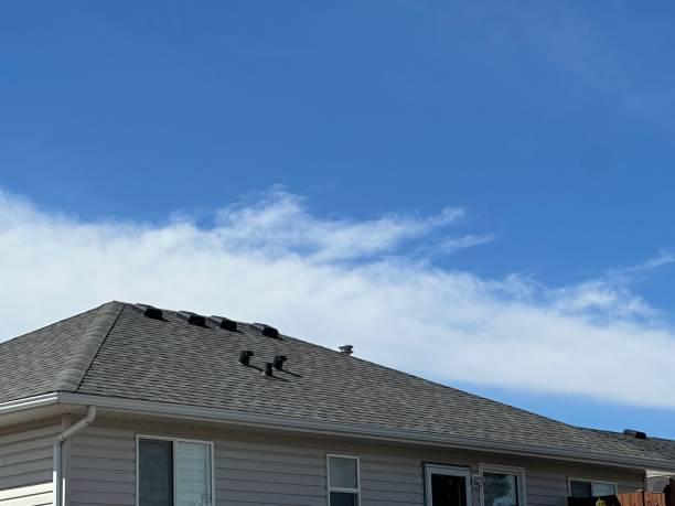Best Emergency Roof Repair Services  in Parma, ID